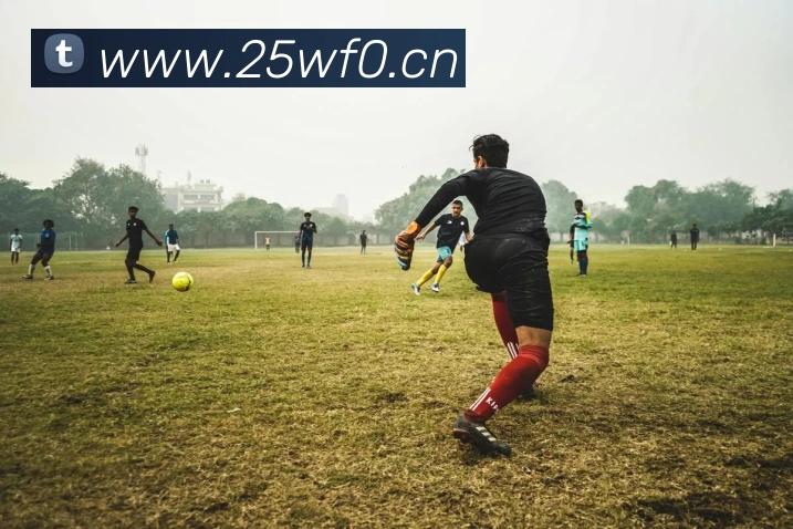 易倍emc中文官网APP 封面图